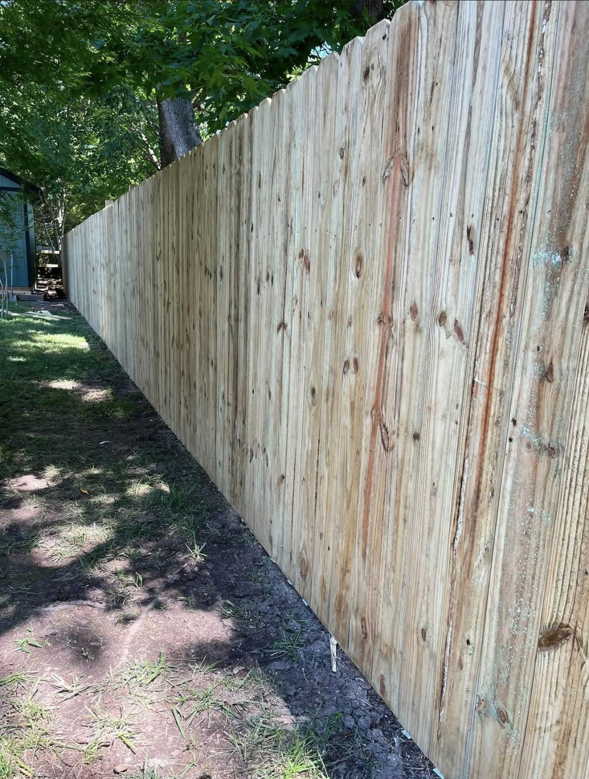 Wood privacy fence along a shaded yard